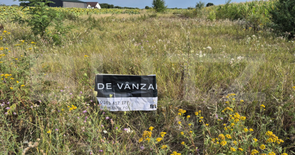 Teren intravilan de vanzare, 3600 mp, in Odoreu