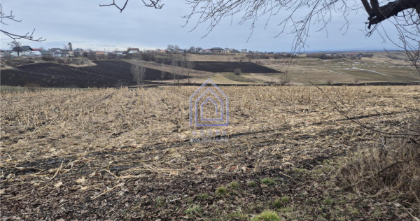 Teren Moara Nica - zona Scolii