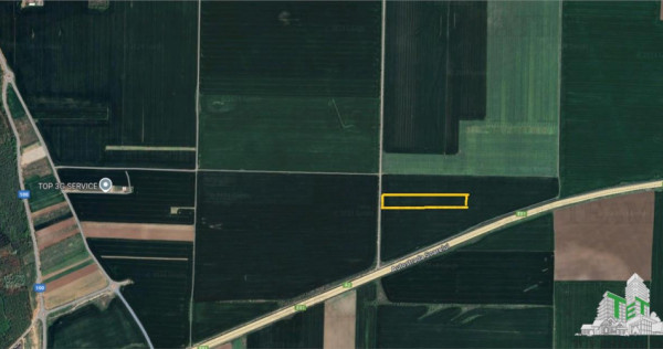 Teren intravilan construibil, Branesti-Ilfov, 12000 mp, ide