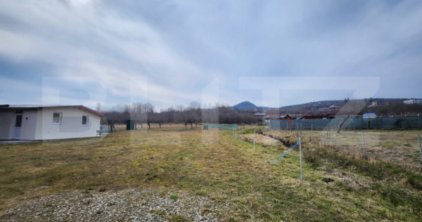 Teren extravilan, 20 de arii, Valea Rusului, pretabil pentru
