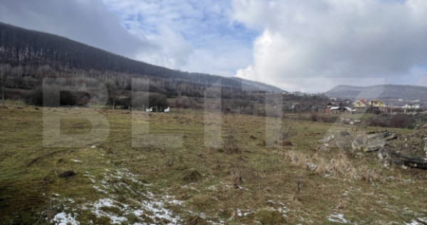 Comision 0 - Teren intravilan 20 arii acces DN15, Viisoara