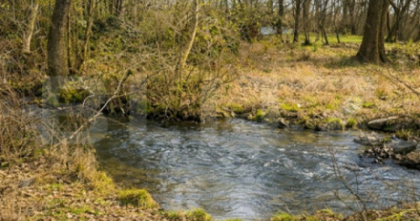 Teren 1907 mp - Zona Arcani