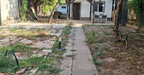 Bdul Ion Mihalache- Pta Chibrit