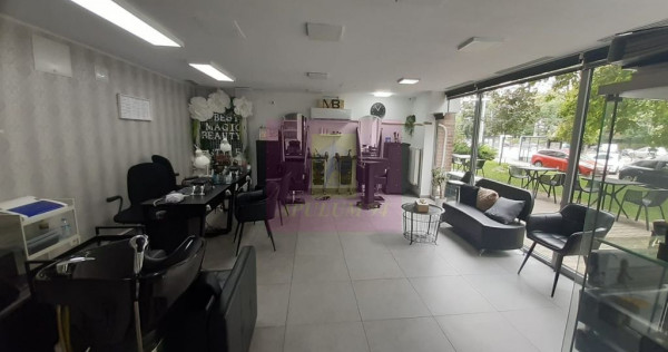 Spatiu Comercial Stradal Șoseaua Colentina zona Teiul Do...