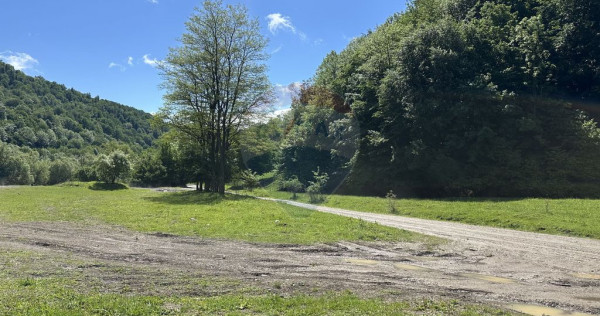 Teren 1,340mp Cuejdiu / Strada Cuejdiului