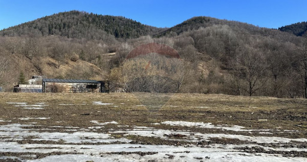 Teren 1,340mp Cuejdiu / Strada Cuejdiului