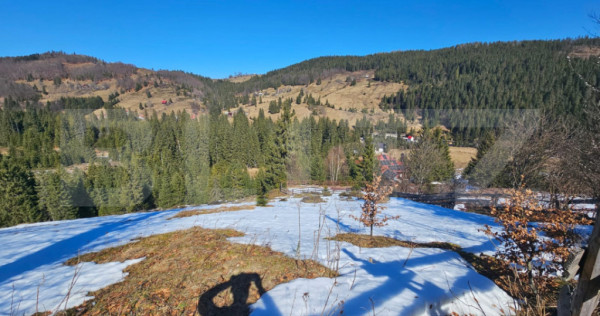 Teren 2 ha, cu pădure proprie și panoramă spre munți, Ar