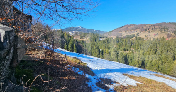 Teren 2 ha, cu pădure proprie și panoramă spre munți, Ar