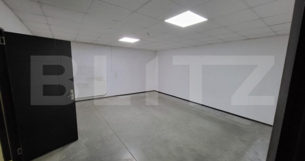 Sptiu 210 mp, zona Debarcader