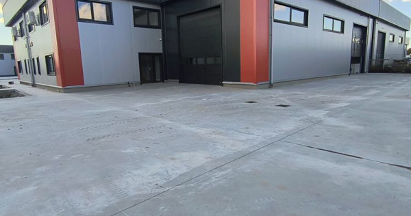 Complex hale ( 8 bucati ) noi 2025 Domnesti - Centura Buc...