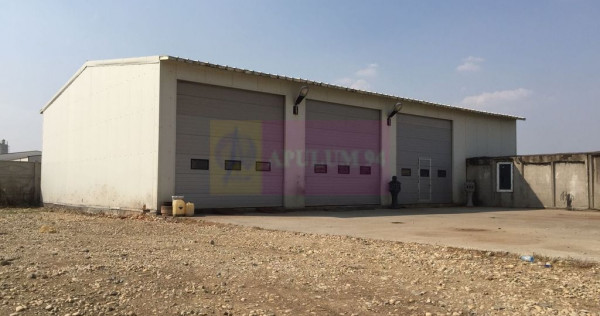 Hala Soseaua Bucuresti- Magurele- planul 2.