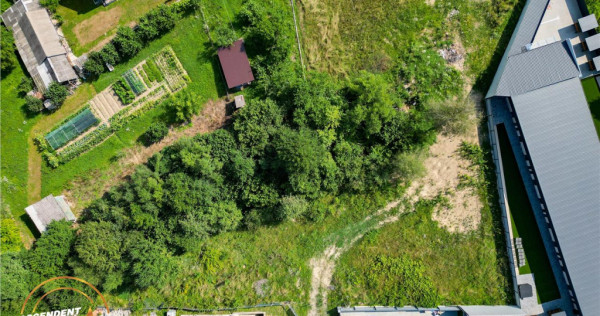 FILM! 1.285 mp teren, areal ozonat, langa partie si spa, Cov