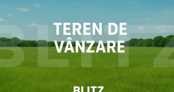 Teren extravilan 6000 mp &icirc;n zona Lebăda &ndash; poziție excel