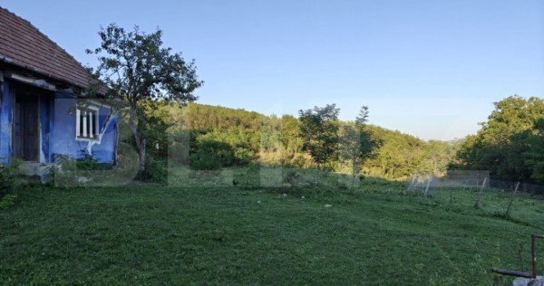 4700 mp teren intravilan - Rascruci - EXCLUSIVITATE