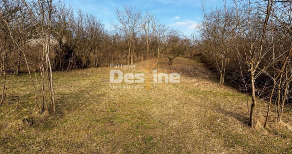 Teren INTRAVILAN, Copou, Viticultori, Iași 1451mp