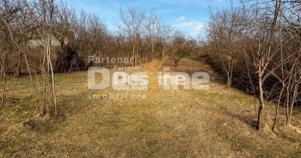 Teren INTRAVILAN, Copou, Viticultori, Iași 1451mp