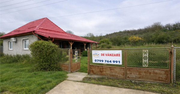 Film3D!Proprietate cu potential:casa, atelier,domeniu de 2.7