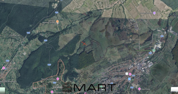 Teren extravilan agricol + fanata 21000mp Cisnadie