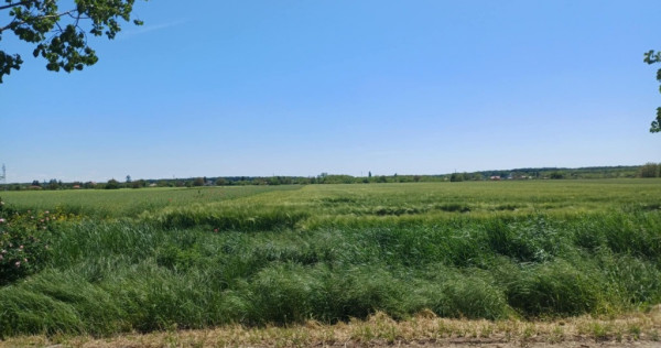 Teren de v&acirc;nzare &icirc;n Gruiu, Siliștea Snagovului