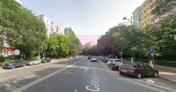 Timpuri Noi- Calea Vacaresti-Tineretului, metrou Magistra...