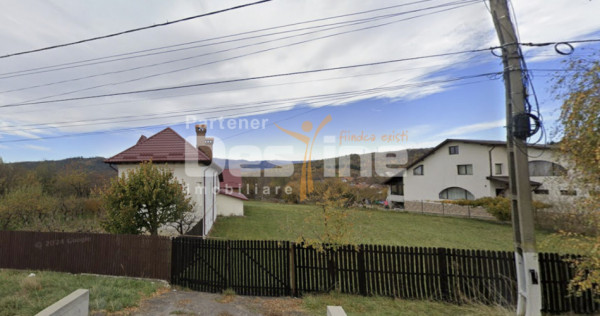 Teren intravilan Valea Mare Pravat 9.915 mp, deschidere DN