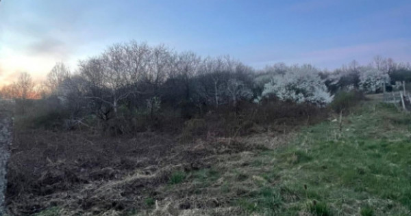 Teren intravilan Dura 22arii