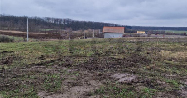 Teren intravilan cu proiect de casa in Pausa.