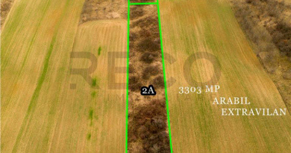 RECO Teren intravilan in Ceica Bihor