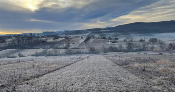 RECO teren Vadu Crisului