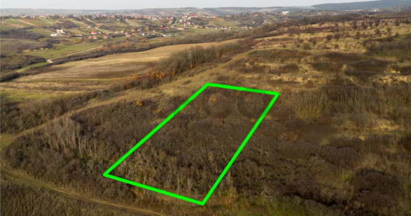 RECO . Teren extravilan . Uileacul de munte