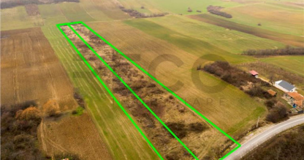 RECO Teren in Burzuc 13 041mp