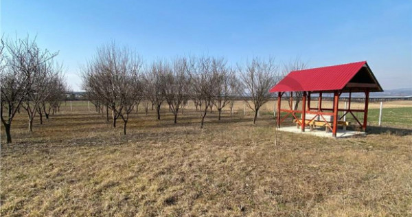 RECO Teren intravilan in zona Alesd Sat Subpiatra 800mp