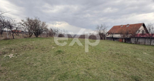 Teren intravilan 3052 mp | Băcești, Drăganu | asfalt | ut