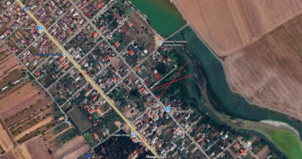 Teren intravilan 10000 mp Frumusani Pasarea Calarasi deschidere la lac