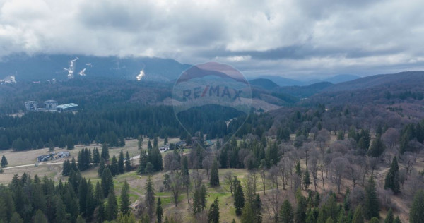 Teren intravilan &ndash; Poiana Mică | Investiție ideală!