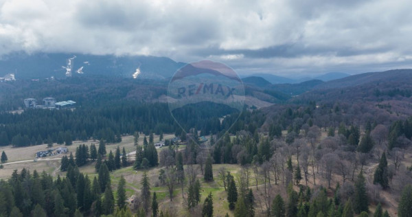 Teren intravilan &ndash; Poiana Mică | Investiție ideală!