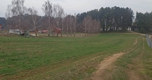 De v&acirc;nzare terenuri intravilane &icirc;n Reci