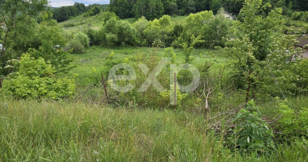 Teren 7,797mp Podis / Calea Moinesti