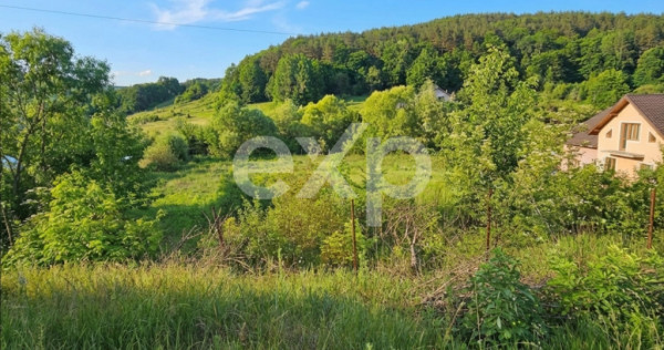 Teren 7,797mp Podis / Calea Moinesti