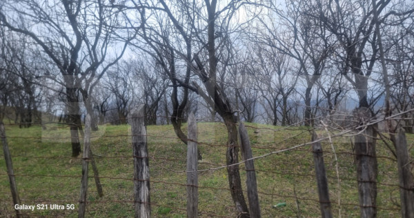 TEREN INTRAVILAN VEDERE PANORAMICA La 2 km de Manastirea CRA