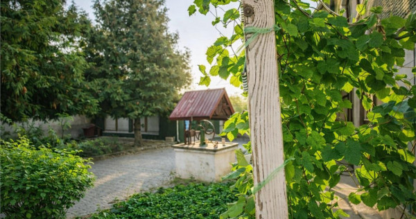 Casa saseasca autentica,1.100 mp teren, pomi fructiferi si p