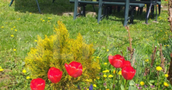 Cabana in zona Gherla, teren 1617 mp, zona linistita &ndash; rel