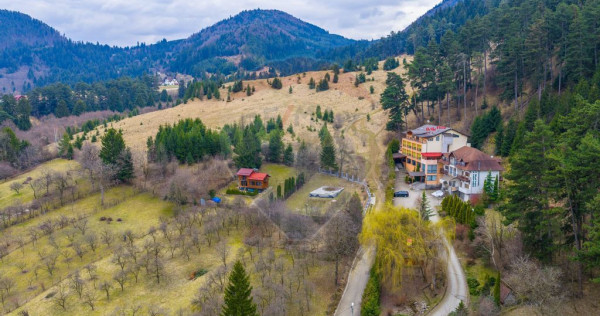 Teren 857mp Sacele/ fundatie / proiect casa/ AC- cf / Str...