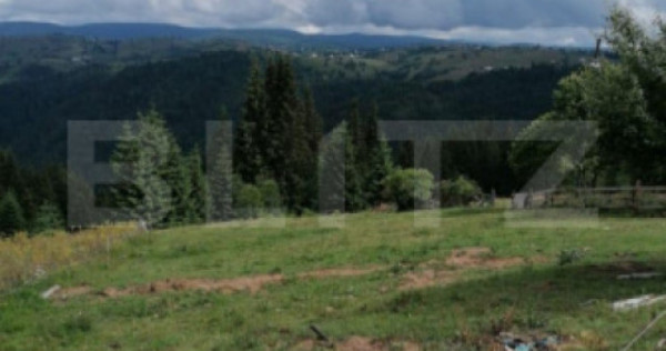 Teren intravilan, front la strada, 3321mp, utilitati, Marise