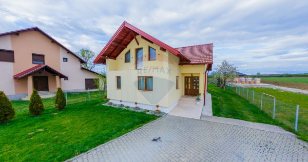 CASA DE VIS DE VANZARE IN COLTIREA