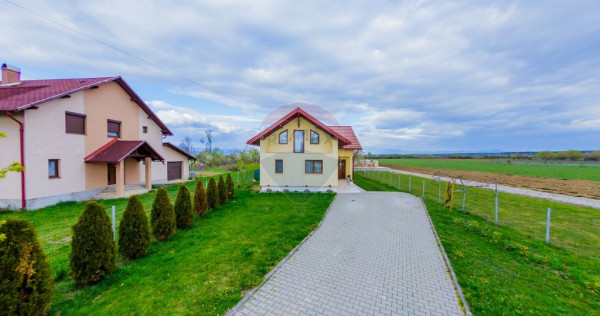 CASA DE VIS DE VANZARE IN COLTIREA cu 2900 mp teren