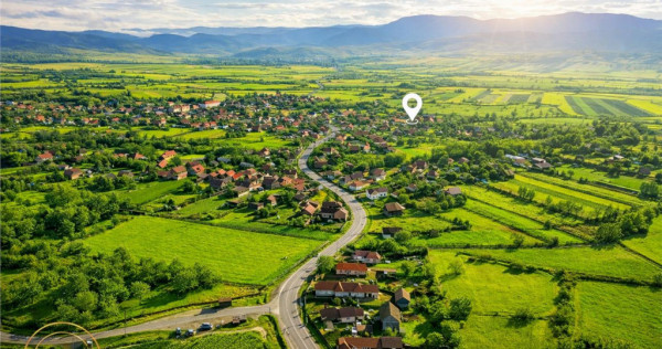 FILM! Casa cu sura, pivnita, balta cu pesti, 2.280 mp teren