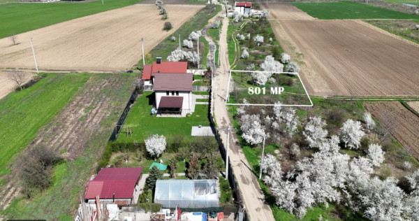 TARTASESTI, LOT 801 MP!