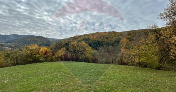 Teren 2,000mp Copalnic-Manastur / Strada Principala