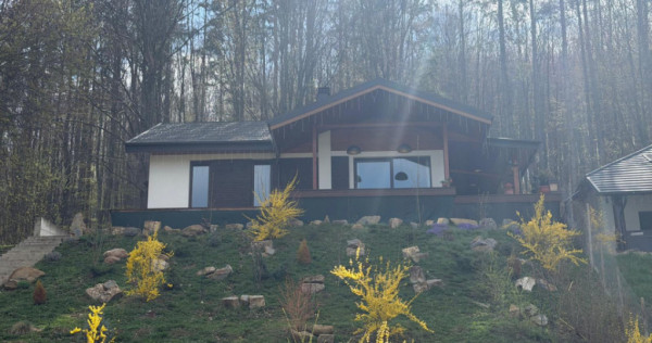 Oportunitate de investitie! Casa in zona de padure, teren 15